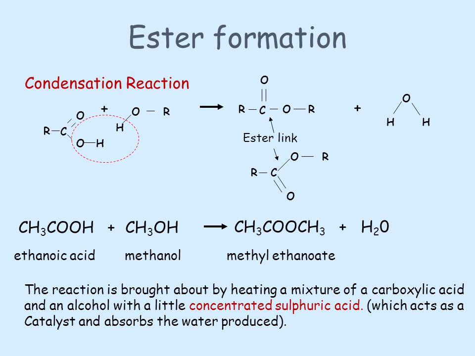 carboxylic acids and esters lab report answers
